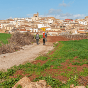 Caminoen