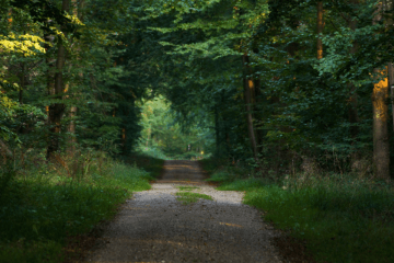Vandreruter i Danmark